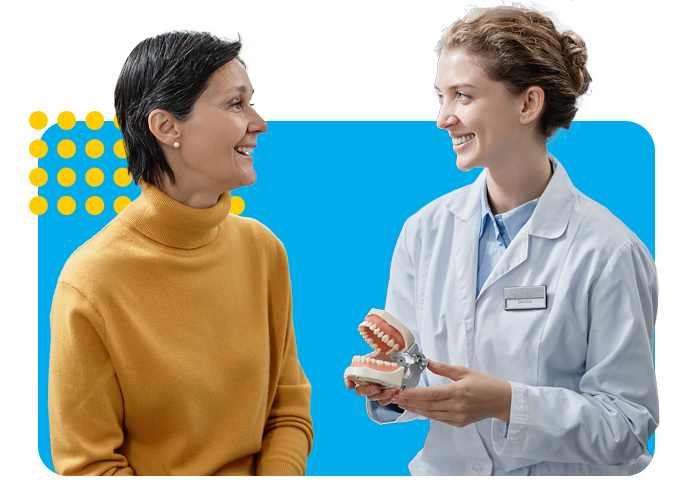 Smiling female dentist holding tooth model and talking to mature woman in clinic